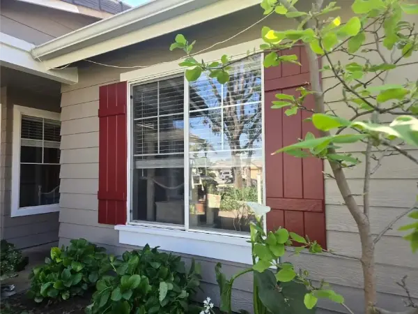 Delight Painting's Other services